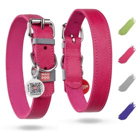 Long Lasting Leather Dog Collar for Large Dogs Medium Small Dogs Adjustable Collar with Durable Buckle D Ring 12-15 inch Neck x 4/5 inch Wide Pin